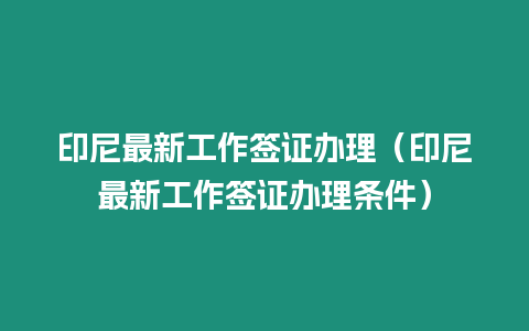 印尼最新工作簽證辦理（印尼最新工作簽證辦理條件）