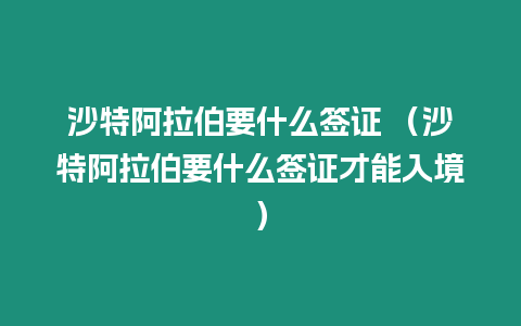 沙特阿拉伯要什么簽證 （沙特阿拉伯要什么簽證才能入境）