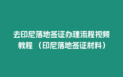 去印尼落地簽證辦理流程視頻教程 （印尼落地簽證材料）