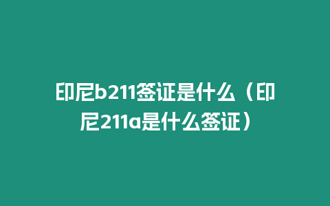 印尼b211簽證是什么（印尼211a是什么簽證）