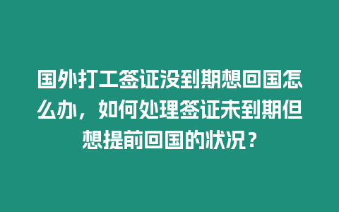 國外打工簽證沒到期想回國怎么辦，如何處理簽證未到期但想提前回國的狀況？