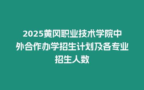 2025黃岡職業(yè)技術(shù)學(xué)院中外合作辦學(xué)招生計劃及各專業(yè)招生人數(shù)