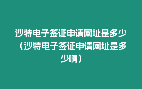 沙特電子簽證申請網(wǎng)址是多少（沙特電子簽證申請網(wǎng)址是多少啊）