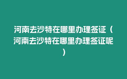 河南去沙特在哪里辦理簽證（河南去沙特在哪里辦理簽證呢）