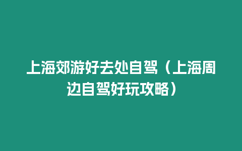 上海郊游好去處自駕（上海周邊自駕好玩攻略）