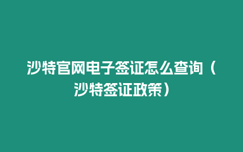 沙特官網電子簽證怎么查詢（沙特簽證政策）