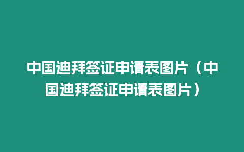 中國迪拜簽證申請表圖片（中國迪拜簽證申請表圖片）