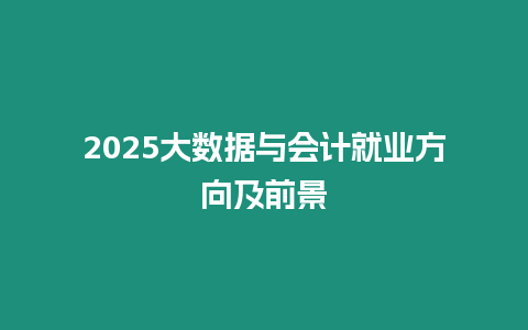 2025大數(shù)據(jù)與會計就業(yè)方向及前景