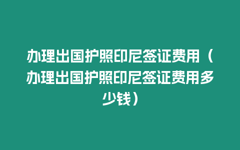 辦理出國護照印尼簽證費用（辦理出國護照印尼簽證費用多少錢）