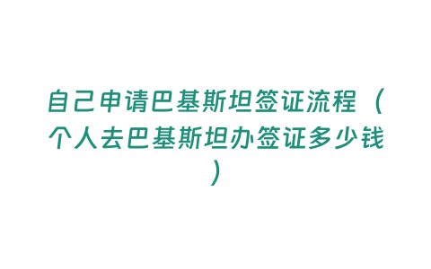 自己申請巴基斯坦簽證流程（個人去巴基斯坦辦簽證多少錢）