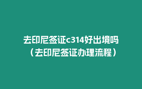 去印尼簽證c314好出境嗎（去印尼簽證辦理流程）