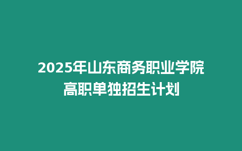 2025年山東商務(wù)職業(yè)學(xué)院高職單獨(dú)招生計(jì)劃