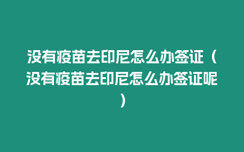 沒有疫苗去印尼怎么辦簽證（沒有疫苗去印尼怎么辦簽證呢）