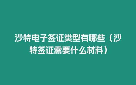 沙特電子簽證類型有哪些（沙特簽證需要什么材料）