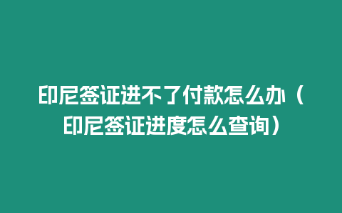 印尼簽證進不了付款怎么辦（印尼簽證進度怎么查詢）