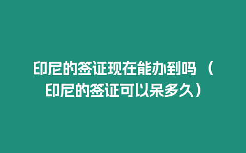 印尼的簽證現在能辦到嗎 （印尼的簽證可以呆多久）