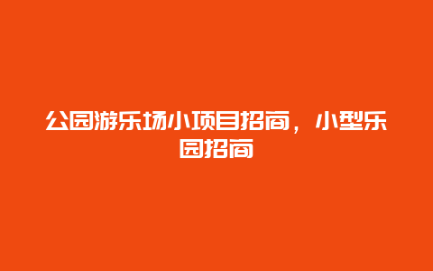 公園游樂場小項目招商，小型樂園招商