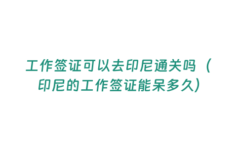 工作簽證可以去印尼通關(guān)嗎（印尼的工作簽證能呆多久）