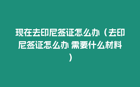 現在去印尼簽證怎么辦（去印尼簽證怎么辦 需要什么材料）