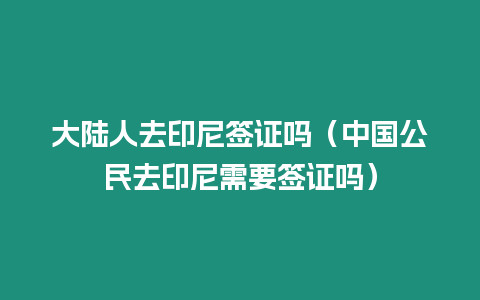 大陸人去印尼簽證嗎（中國公民去印尼需要簽證嗎）