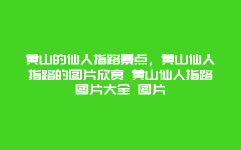 黃山的仙人指路景點，黃山仙人指路的圖片欣賞 黃山仙人指路圖片大全 圖片