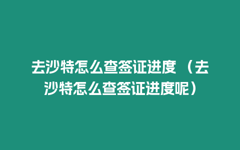 去沙特怎么查簽證進度 （去沙特怎么查簽證進度呢）