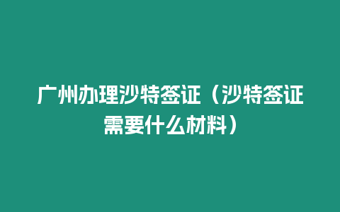 廣州辦理沙特簽證（沙特簽證需要什么材料）