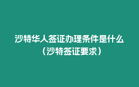 沙特華人簽證辦理條件是什么（沙特簽證要求）