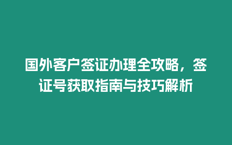 國外客戶簽證辦理全攻略，簽證號獲取指南與技巧解析