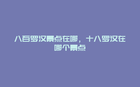 八百羅漢景點(diǎn)在哪，十八羅漢在哪個(gè)景點(diǎn)