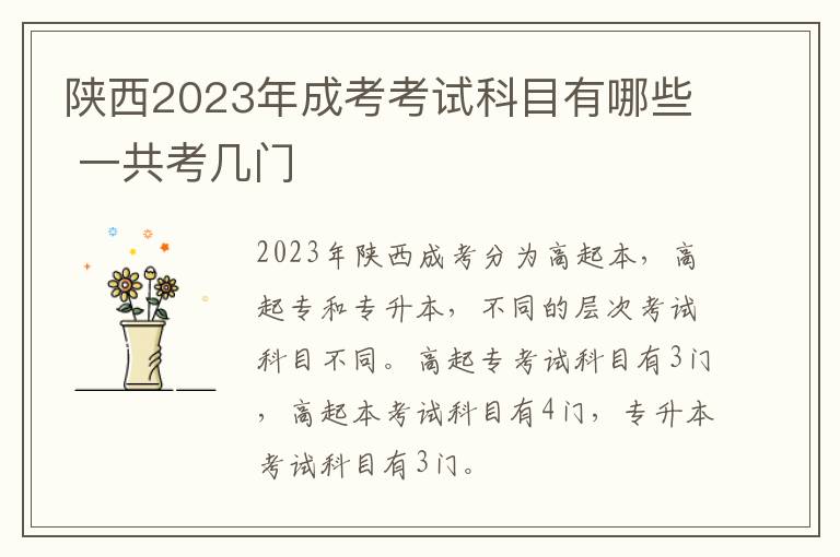 陜西2025年成考考試科目有哪些 一共考幾門