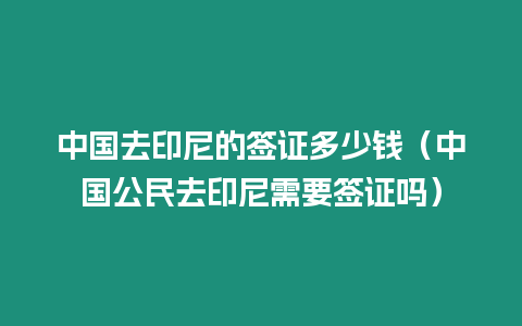 中國去印尼的簽證多少錢（中國公民去印尼需要簽證嗎）