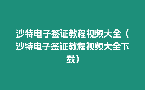 沙特電子簽證教程視頻大全（沙特電子簽證教程視頻大全下載）