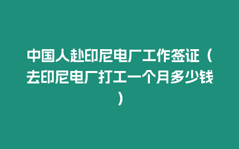 中國人赴印尼電廠工作簽證（去印尼電廠打工一個月多少錢）