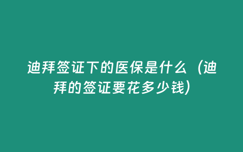 迪拜簽證下的醫保是什么（迪拜的簽證要花多少錢）