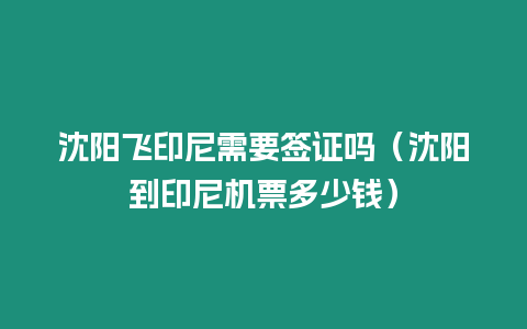 沈陽飛印尼需要簽證嗎（沈陽到印尼機票多少錢）