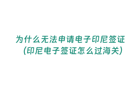 為什么無法申請電子印尼簽證（印尼電子簽證怎么過海關）