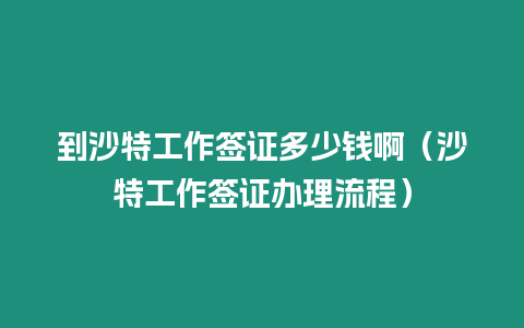 到沙特工作簽證多少錢啊（沙特工作簽證辦理流程）