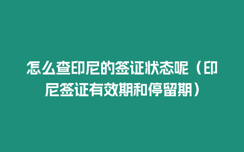 怎么查印尼的簽證狀態(tài)呢（印尼簽證有效期和停留期）