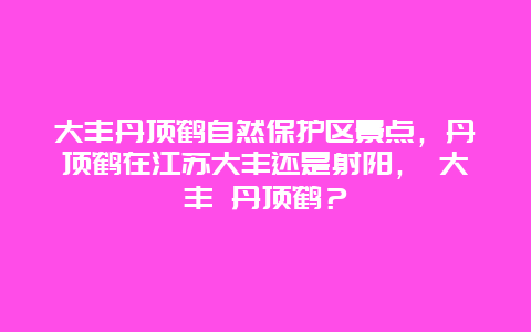 大豐丹頂鶴自然保護區景點，丹頂鶴在江蘇大豐還是射陽， 大豐 丹頂鶴？