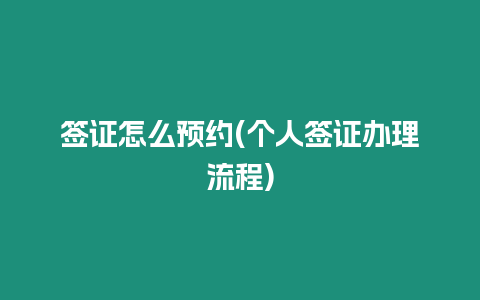 簽證怎么預約(個人簽證辦理流程)