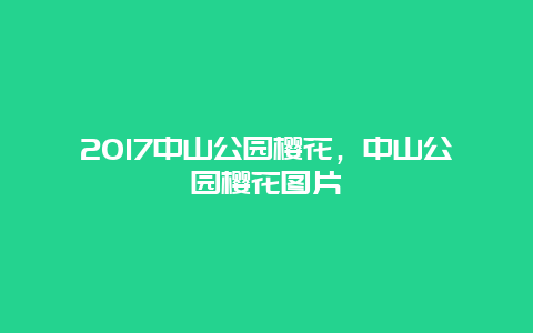 2017中山公園櫻花，中山公園櫻花圖片