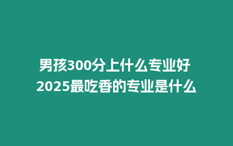 男孩300分上什么專(zhuān)業(yè)好 2025最吃香的專(zhuān)業(yè)是什么