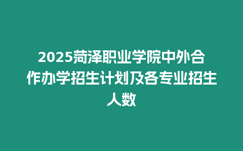 2025菏澤職業學院中外合作辦學招生計劃及各專業招生人數