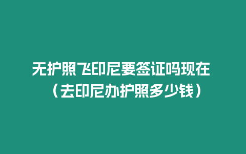 無護照飛印尼要簽證嗎現在 （去印尼辦護照多少錢）