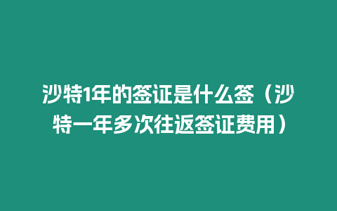 沙特1年的簽證是什么簽（沙特一年多次往返簽證費(fèi)用）