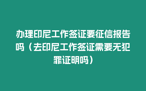 辦理印尼工作簽證要征信報告嗎（去印尼工作簽證需要無犯罪證明嗎）