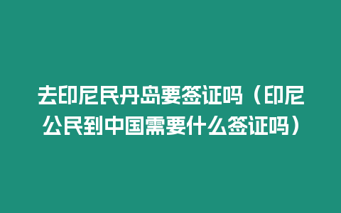 去印尼民丹島要簽證嗎（印尼公民到中國需要什么簽證嗎）