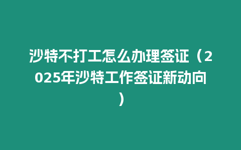 沙特不打工怎么辦理簽證（2025年沙特工作簽證新動(dòng)向）