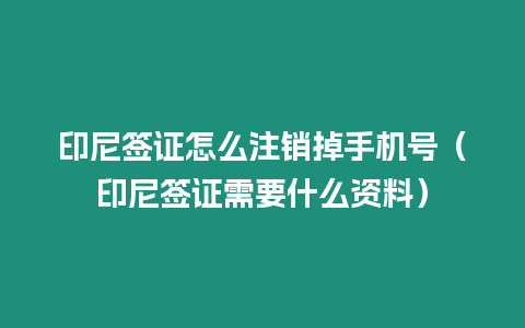 印尼簽證怎么注銷掉手機(jī)號（印尼簽證需要什么資料）